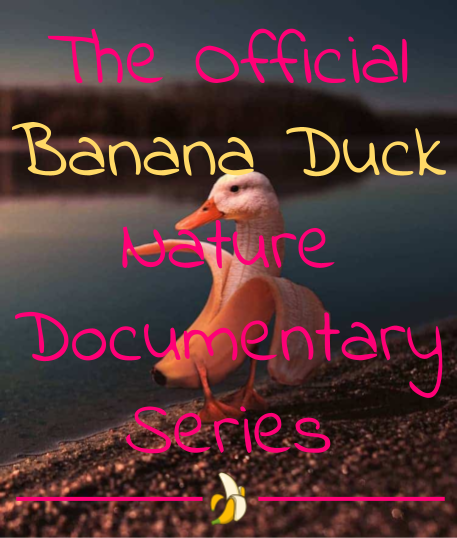 Docuseries Title Image